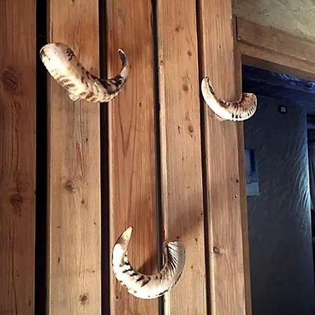 Apartment Chalet Des Alpes